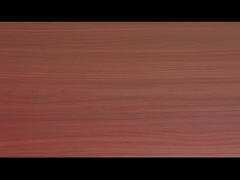 Βερμικέλι και άμεσα νουντλς με γεύση βοδινού με ντομάτα